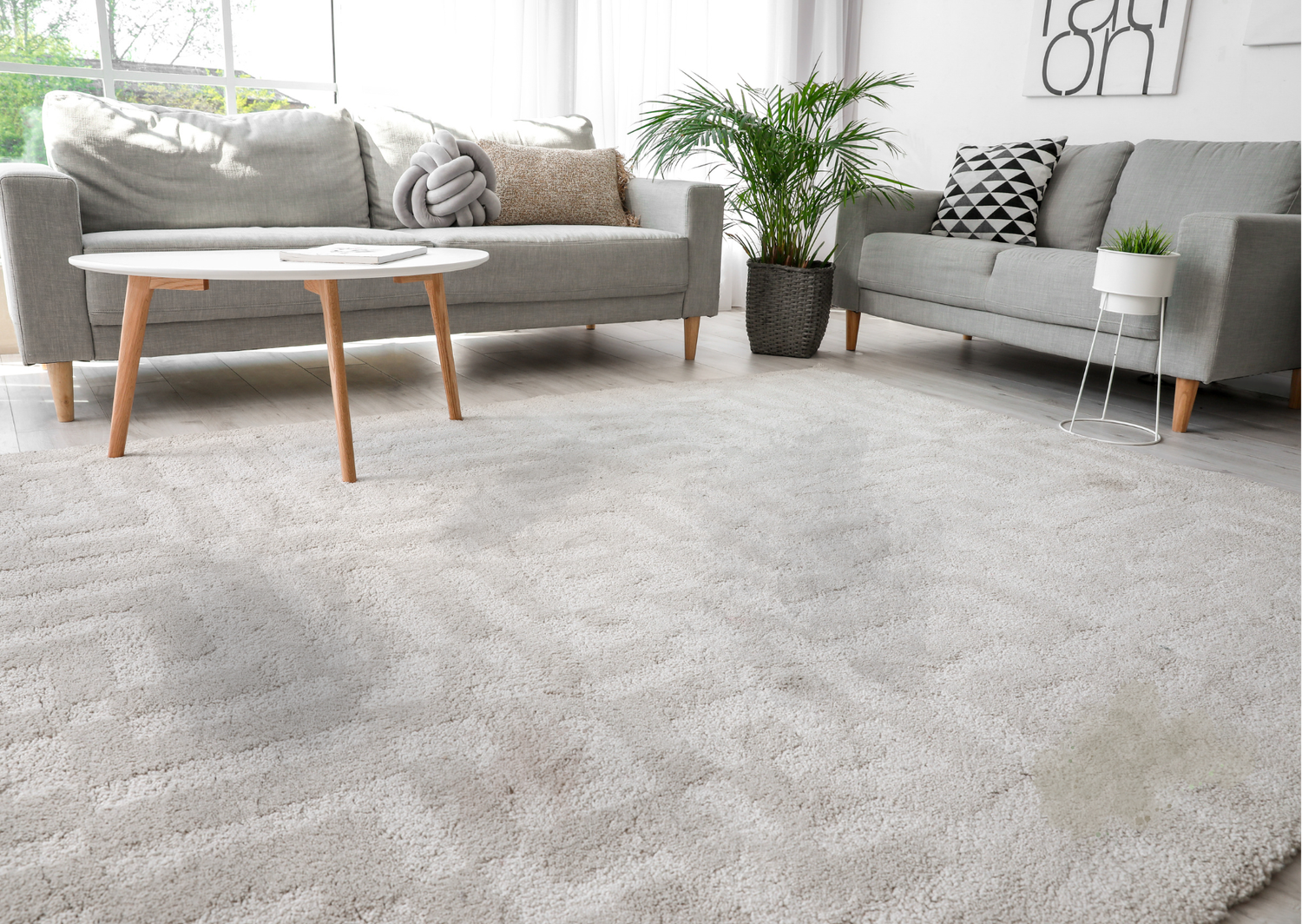 Valymo-rezultas-pries